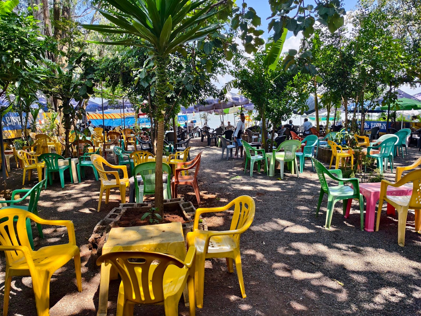 Bahir Dar Fish Market - Image 1