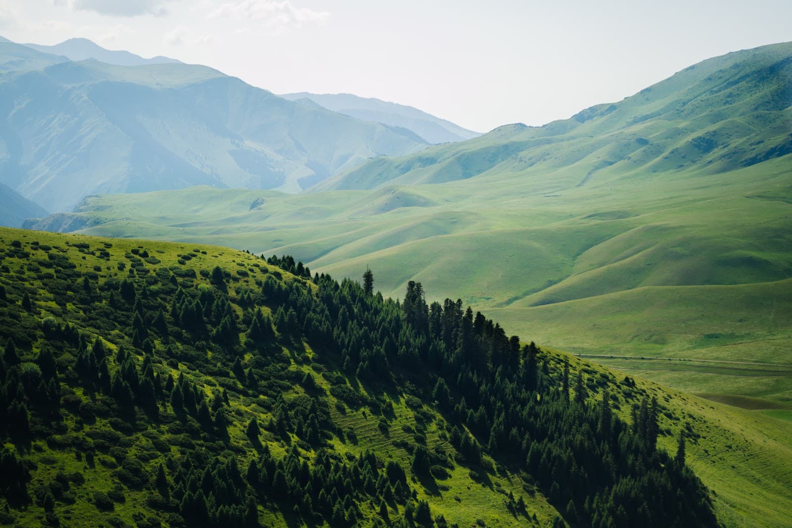 Assy Plateau - Image 1