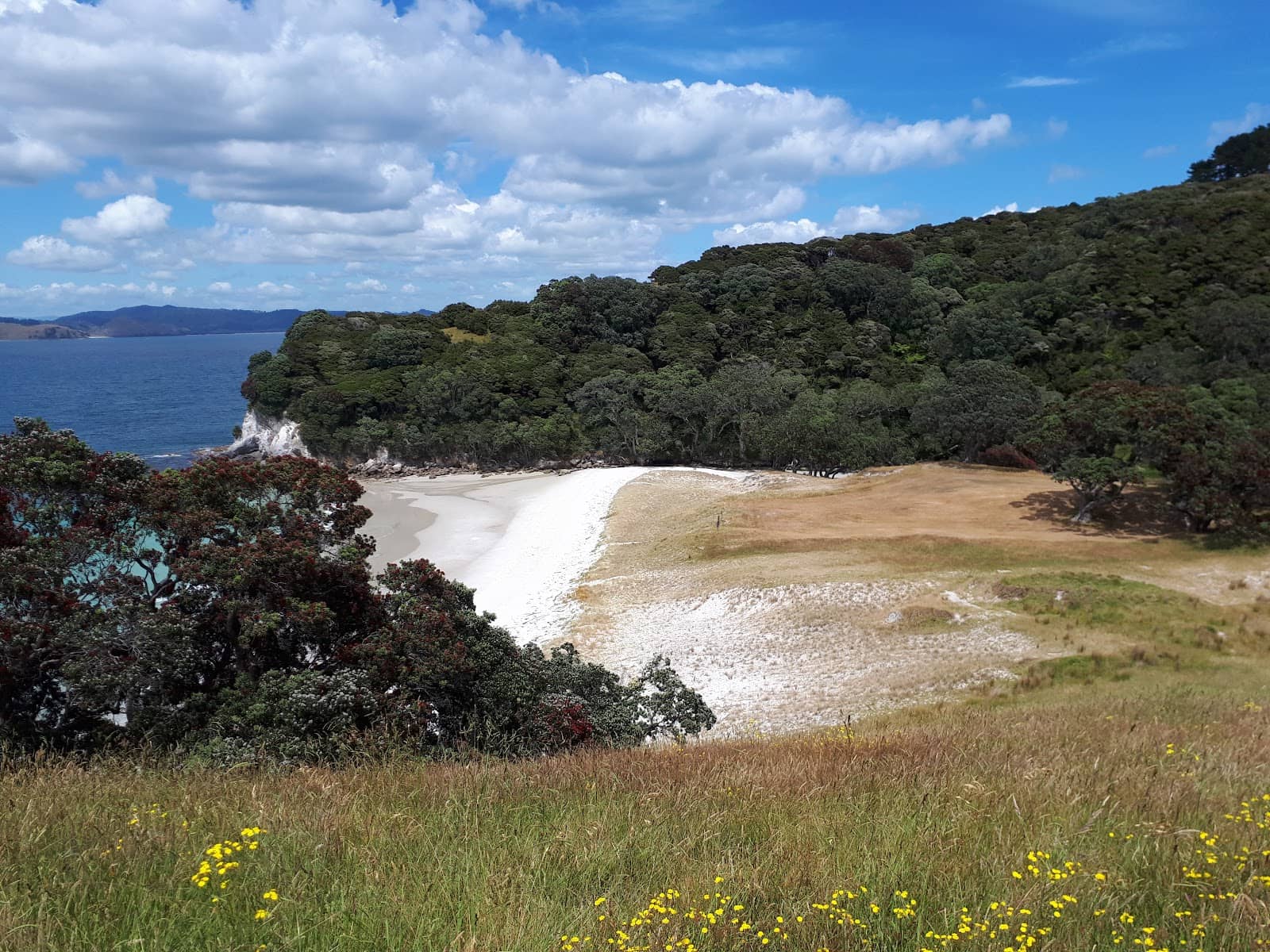 Scenic Walks & Waterfalls