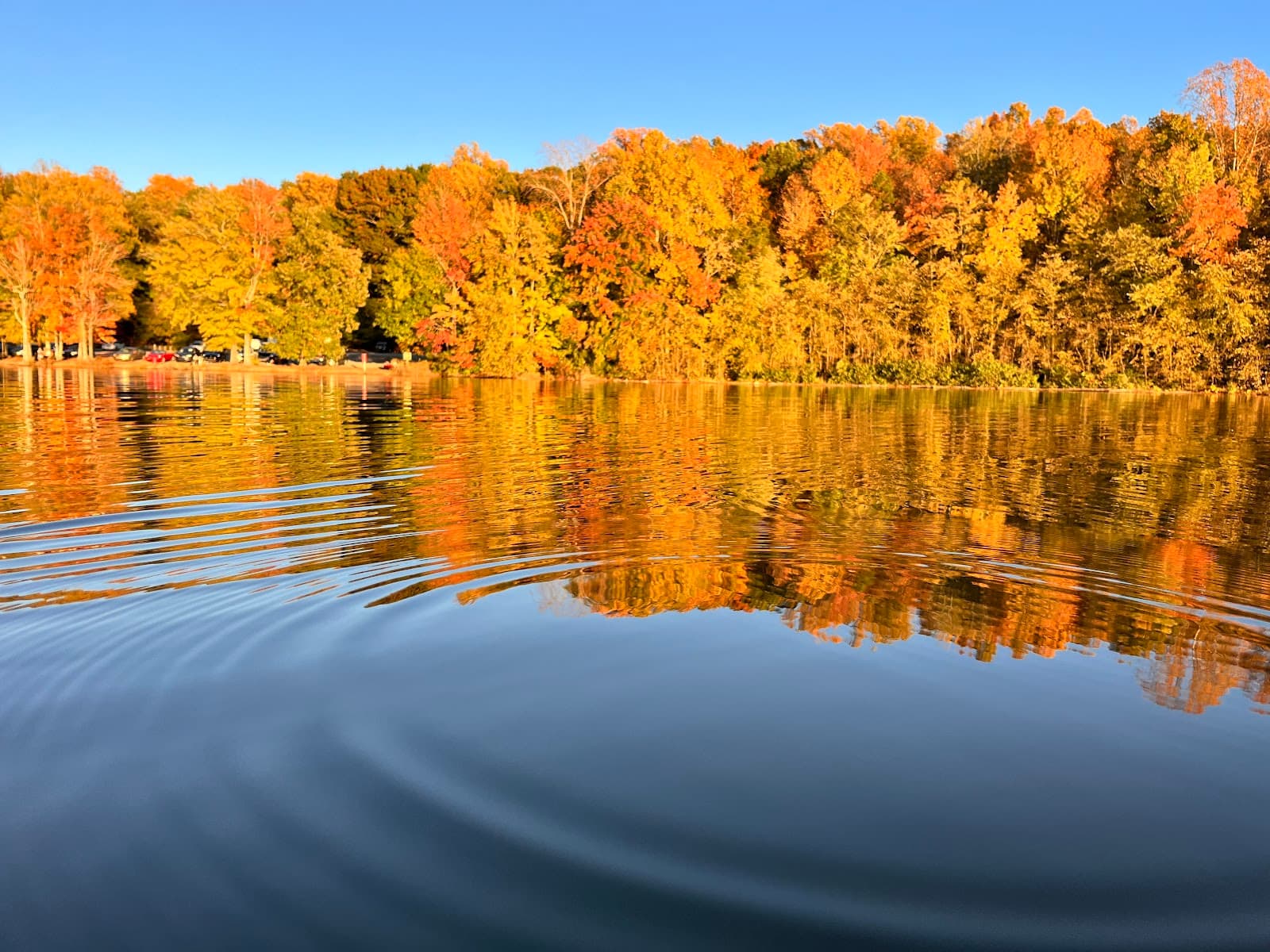 Lake Brandt Greensboro - Image 1
