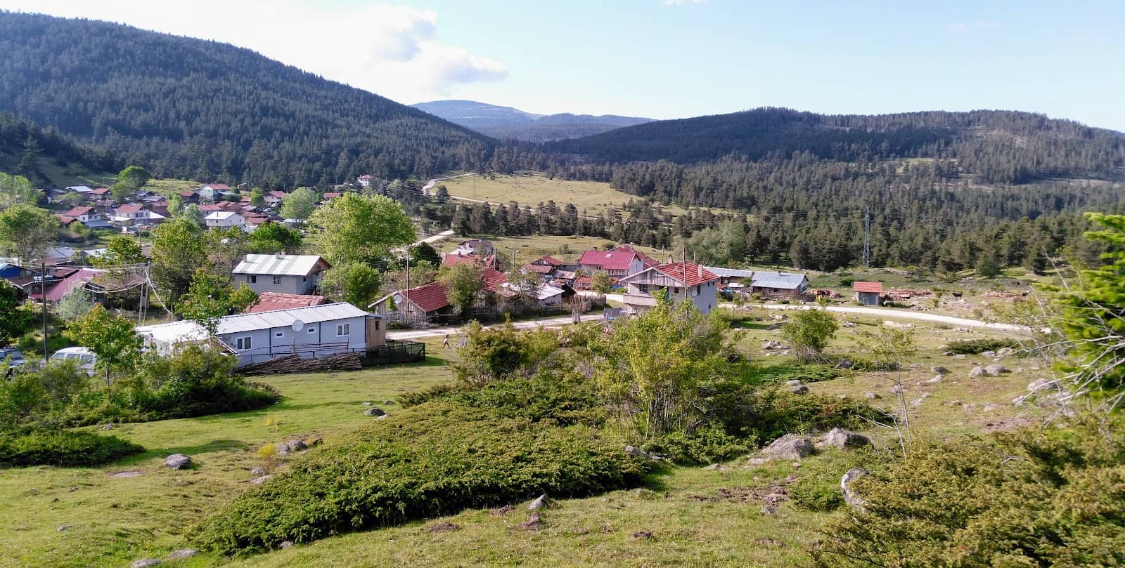 Peaceful Riverside Ambiance