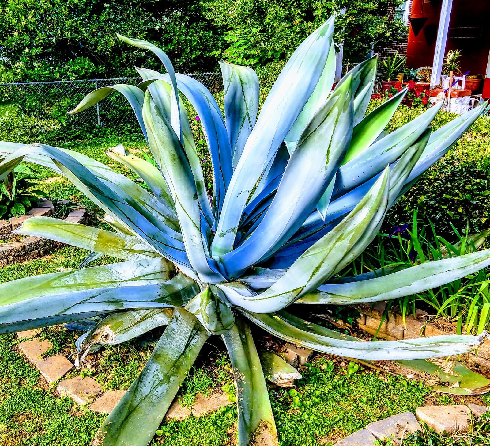 Oakhurst Village - Image 1