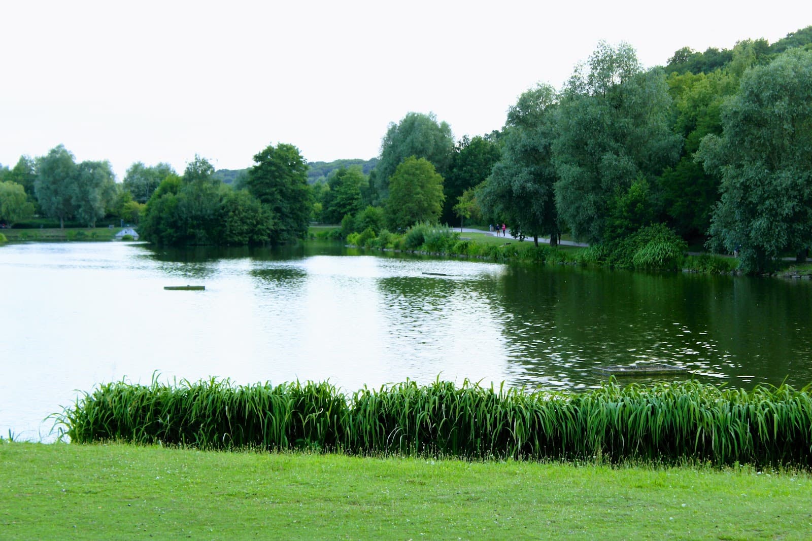 Lac de Louvain-la-Neuve - Image 1