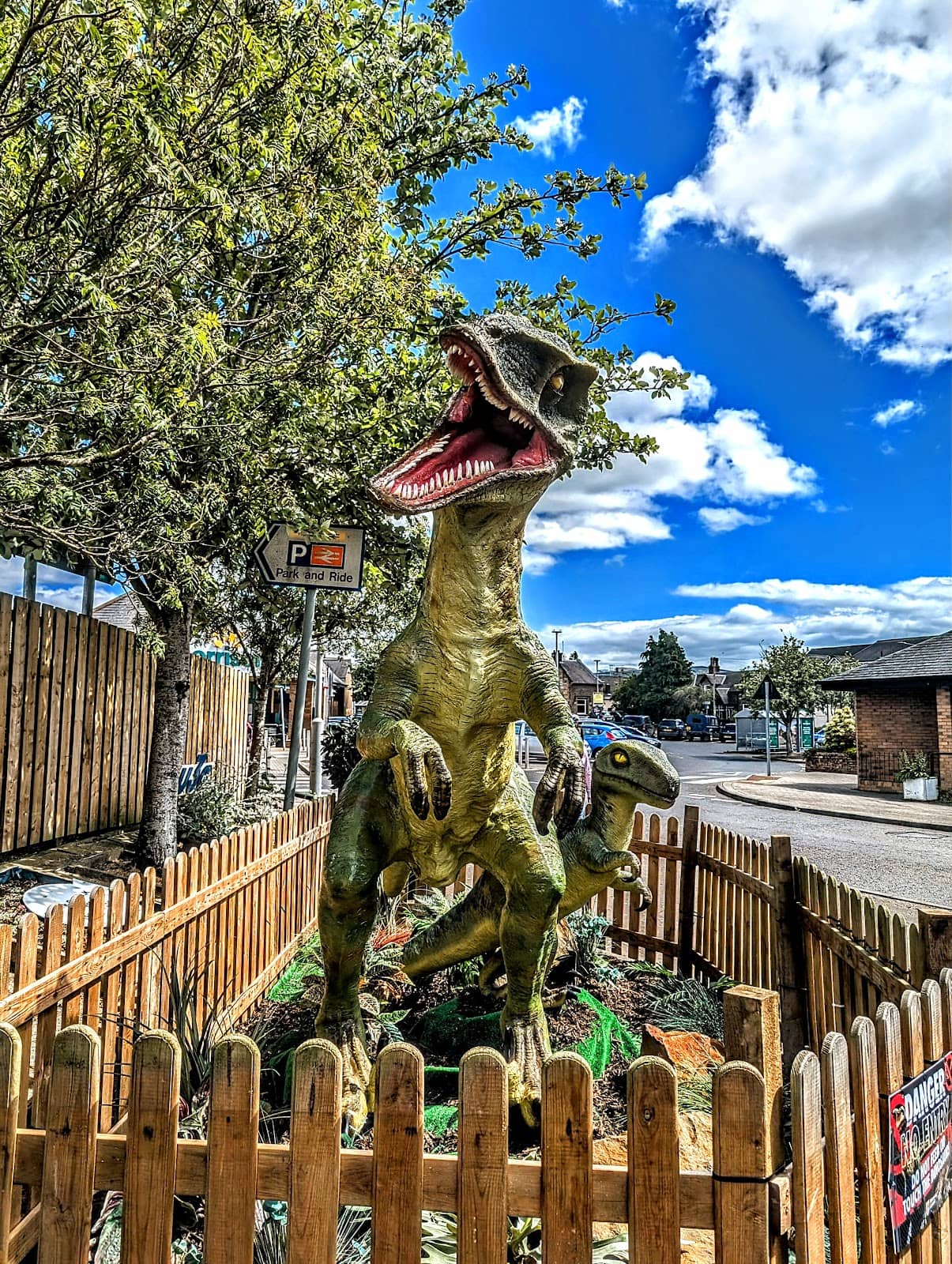 Local Artist Exhibitions