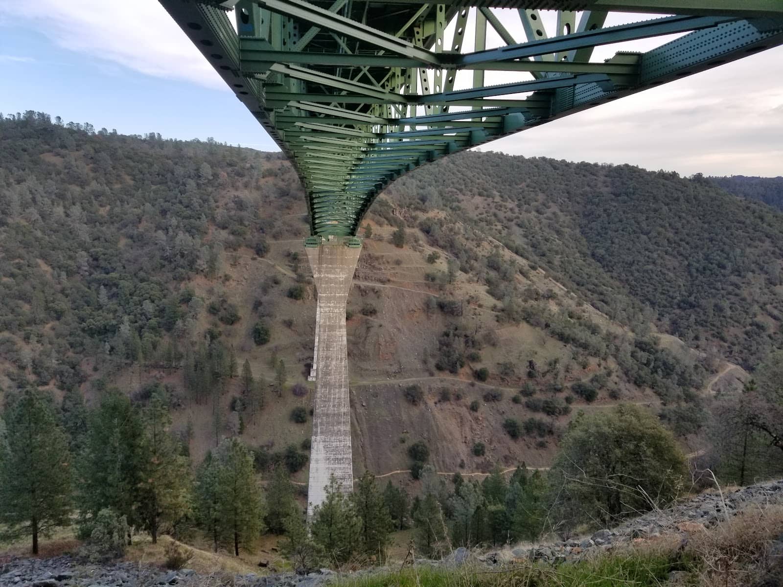 Vertical photo