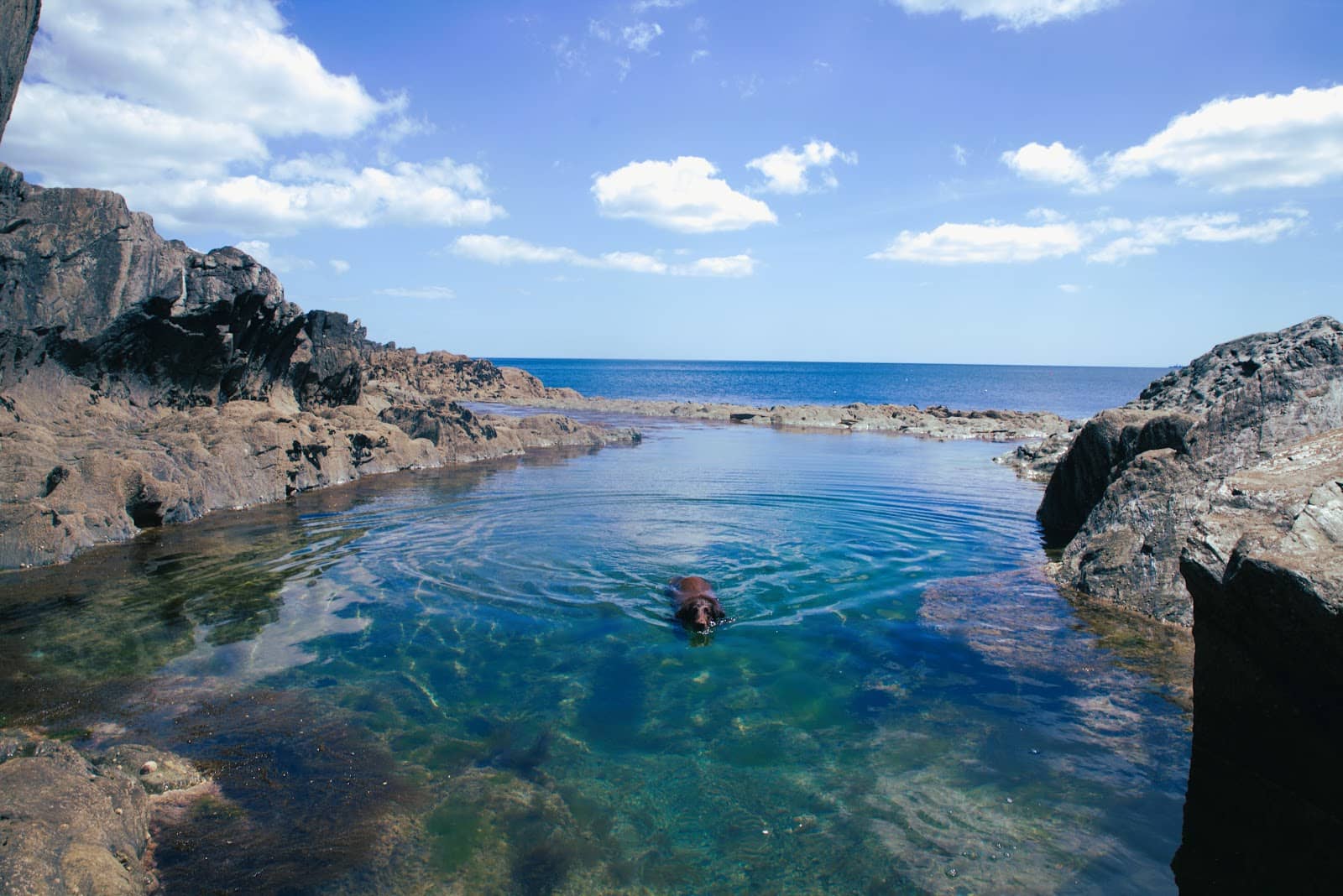 Polperro Coastal Path