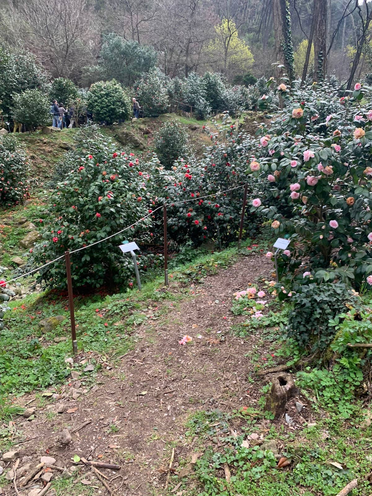 Sant'Andrea di Compito Village