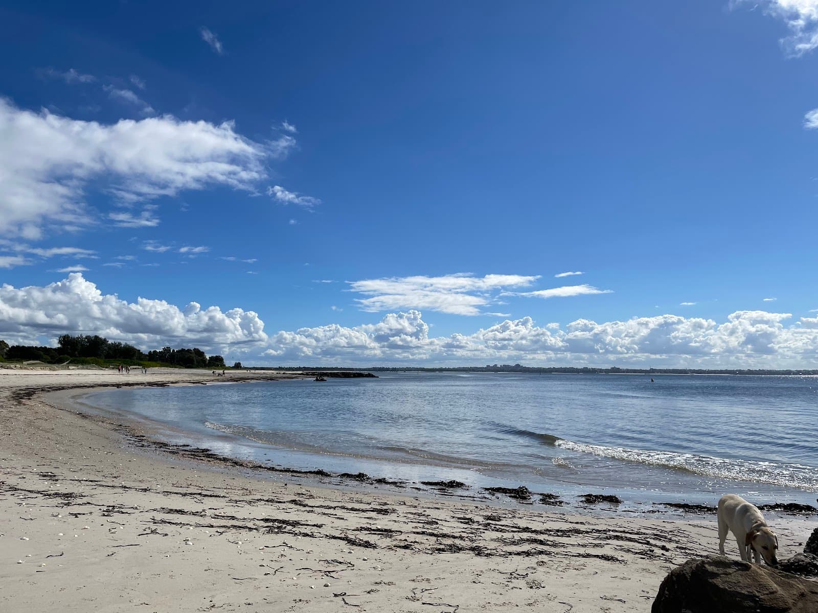 Kurnell Beach, Kurnell - Image 1