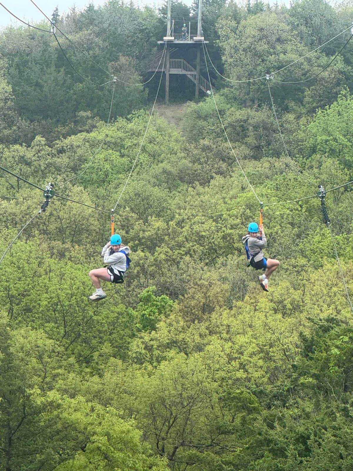 Wildwood Adventure Park - Image 1