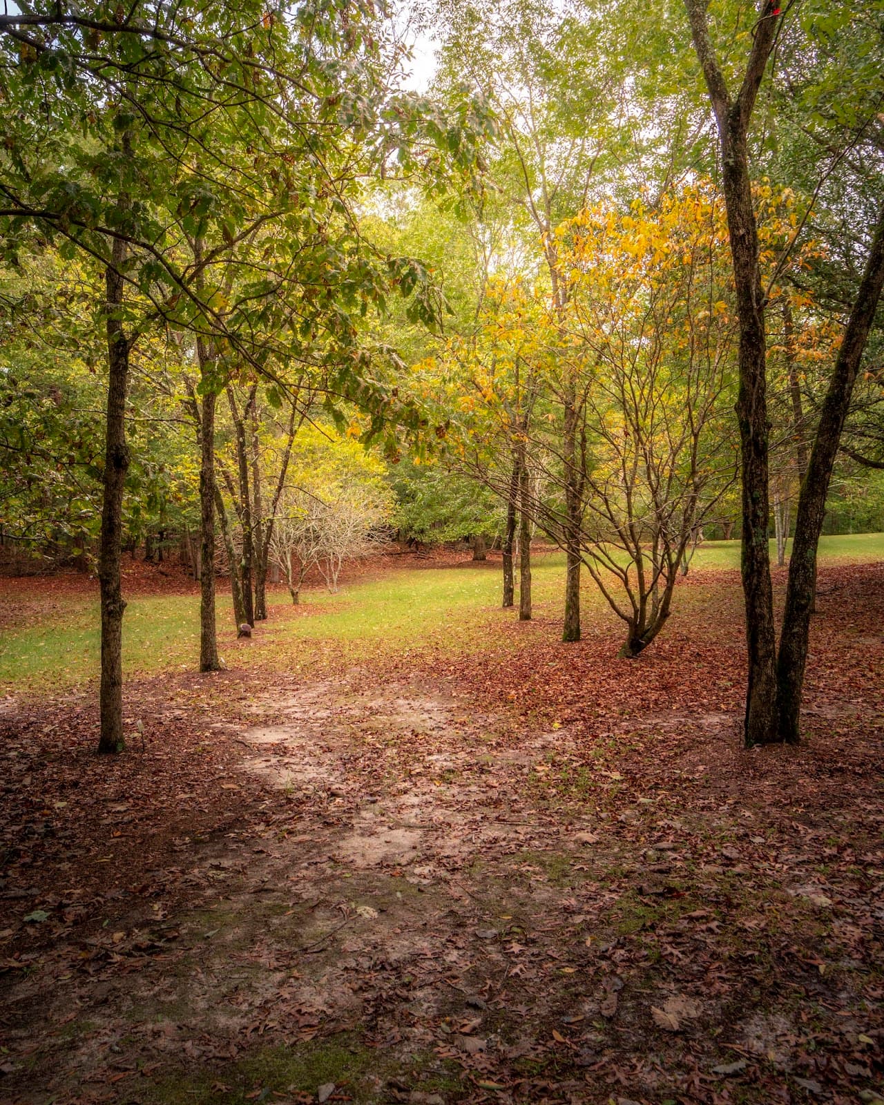 Thompson Mills Forest and State Arboretum of Georgia - Image 1