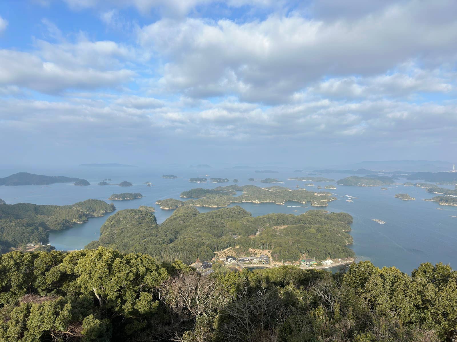 Colorful Flower Displays