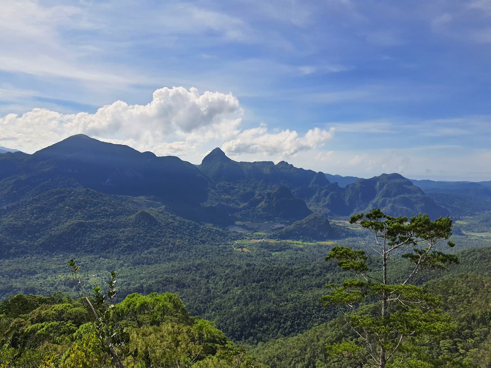 Mount Bloomfield Trail - Image 1