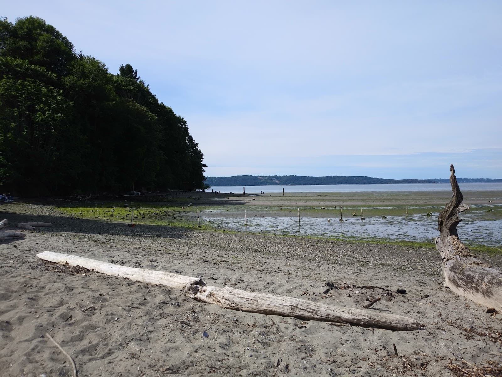 Dumas Bay Sanctuary - Image 1