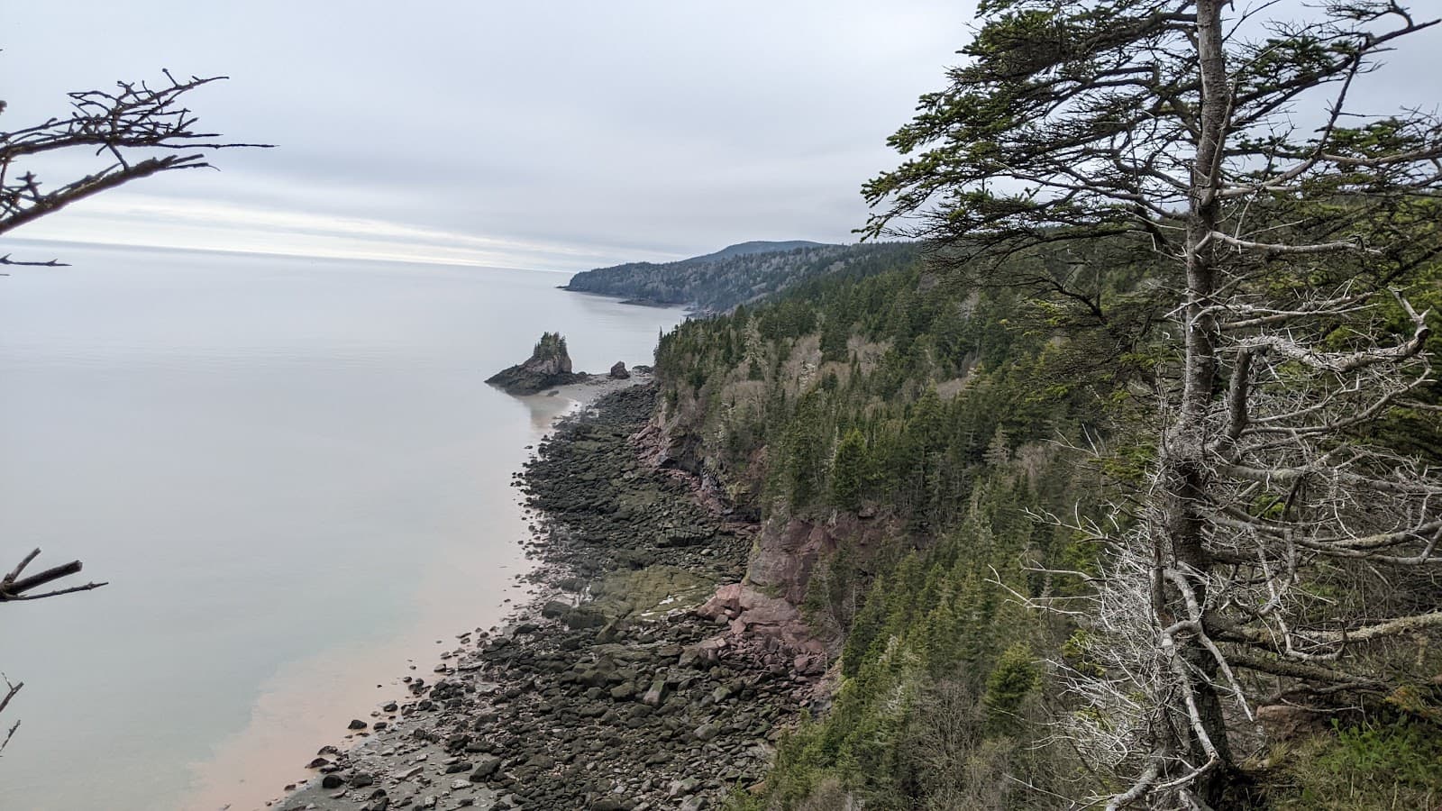 Matthews Head Trail Fundy National Park - Image 1