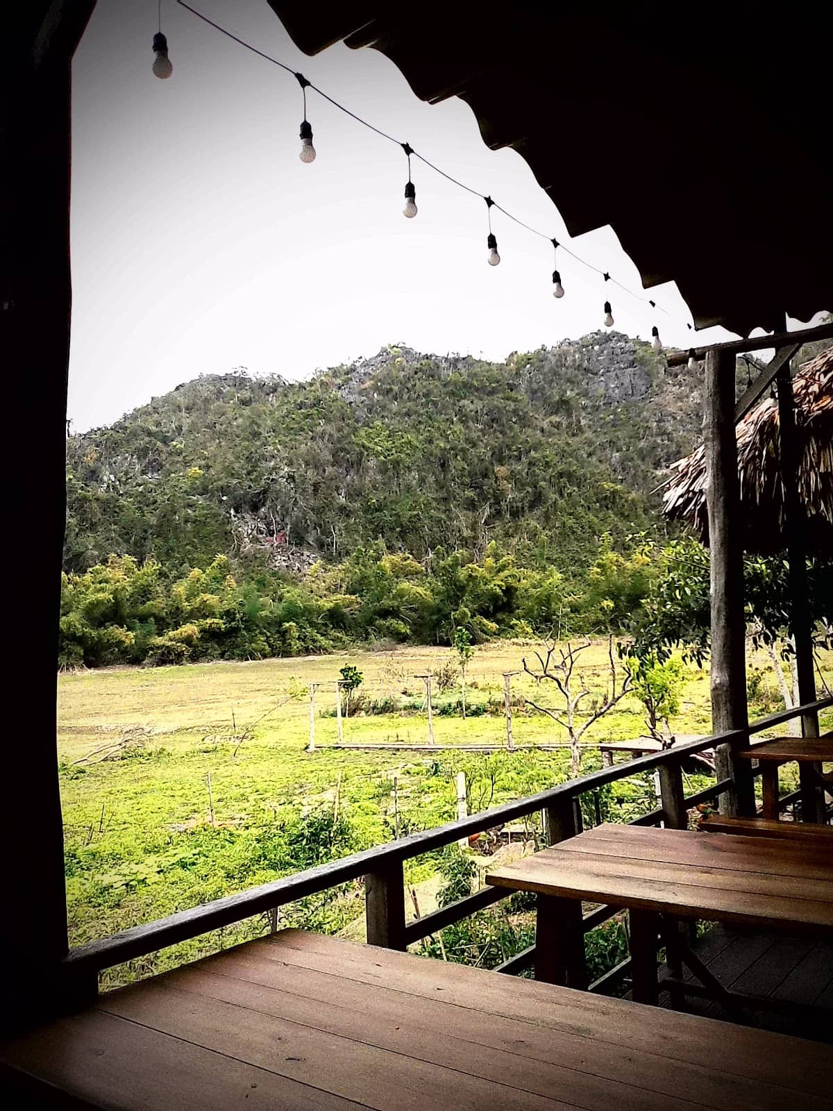 Local Fruit & Cafe Experience