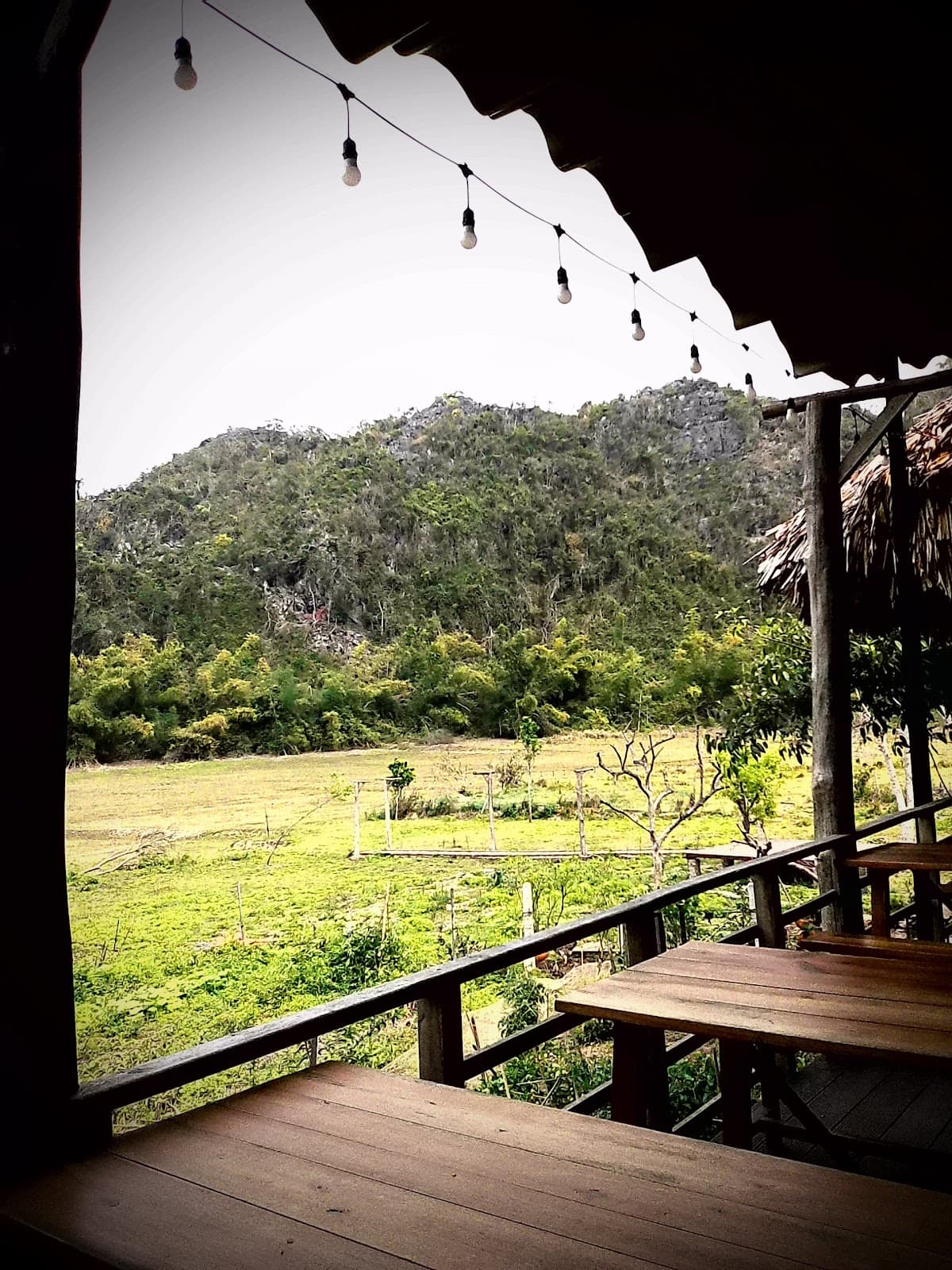 Butterfly Valley, Cat Ba Island - Image 1