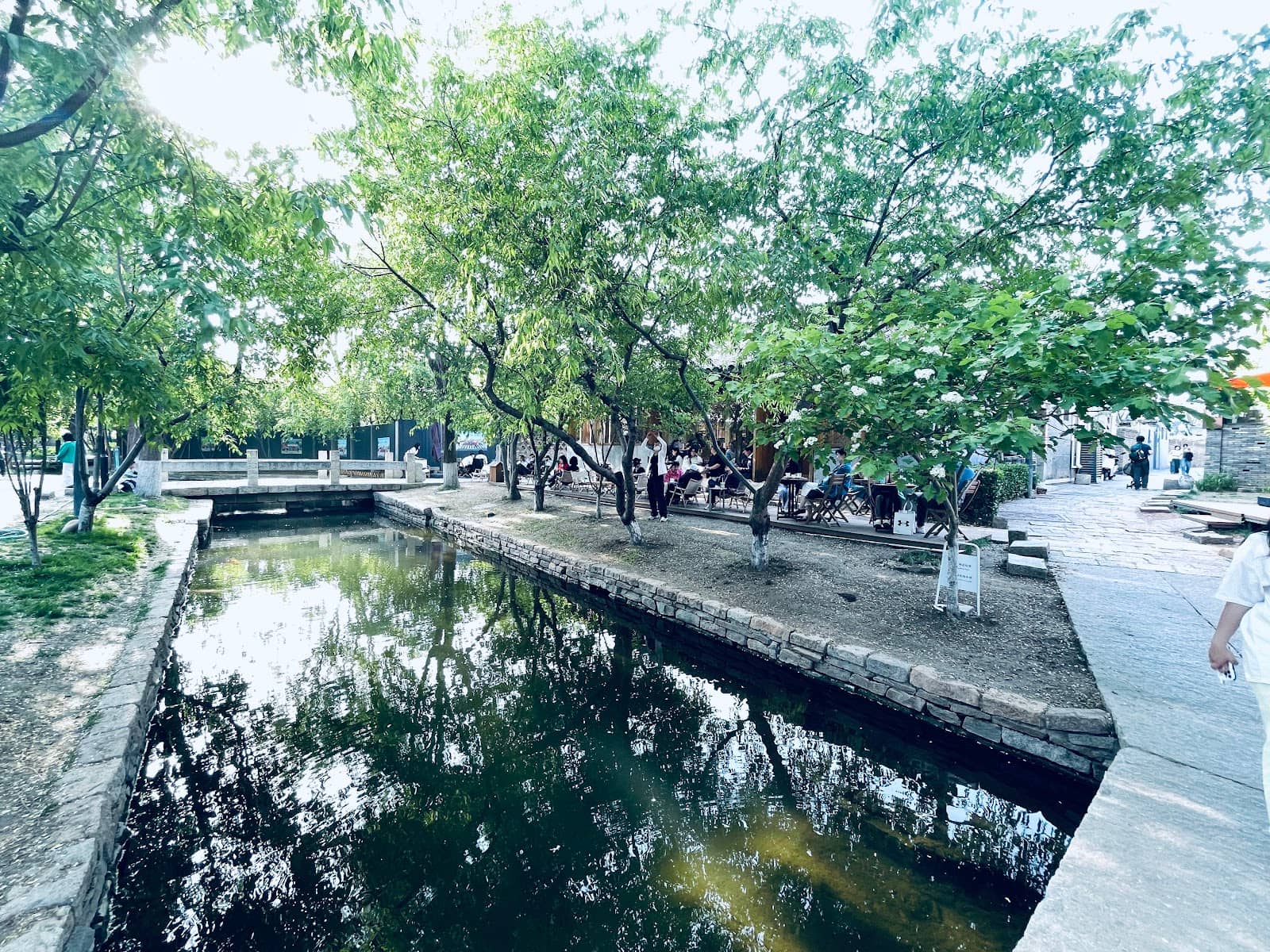 Lush Greenery & Wildlife