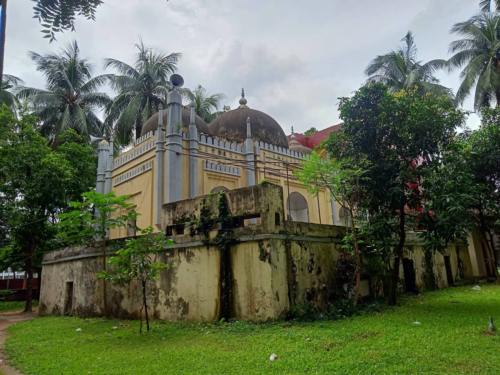 Intricate Calligraphy