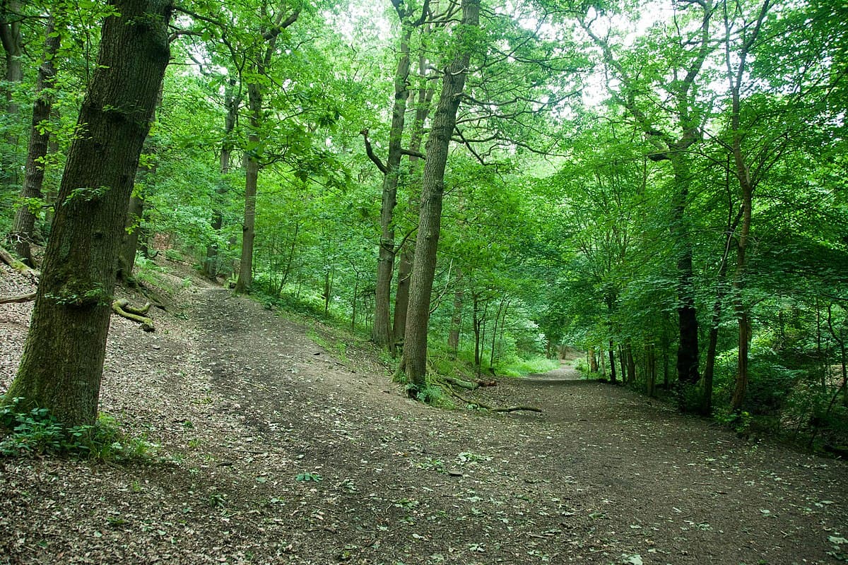 Northcliffe Park - Image 1