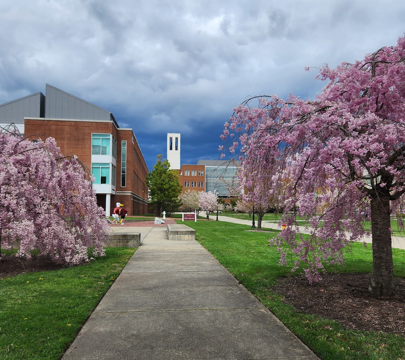 Salisbury University - Image 1