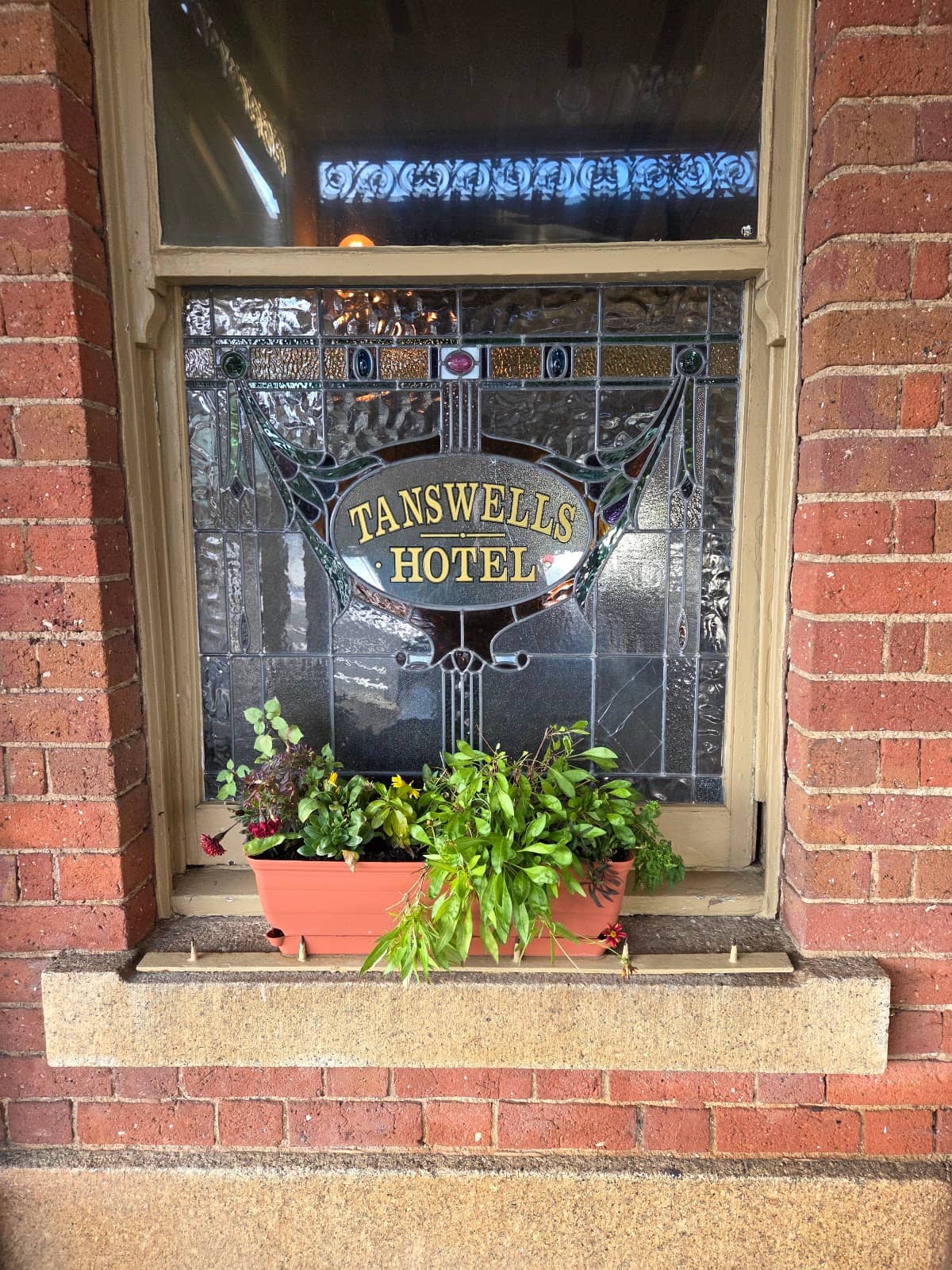 Craft Beer Selection