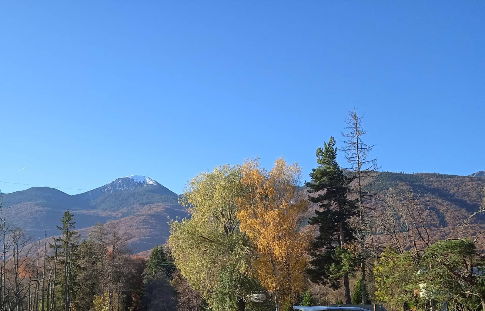 Tranquil Nature Experience