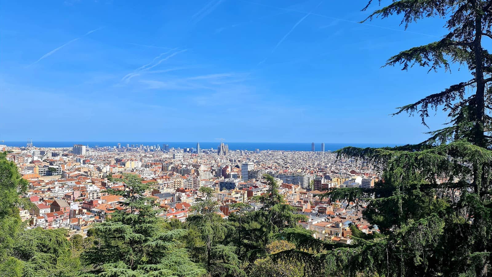Outdoor Workout Area