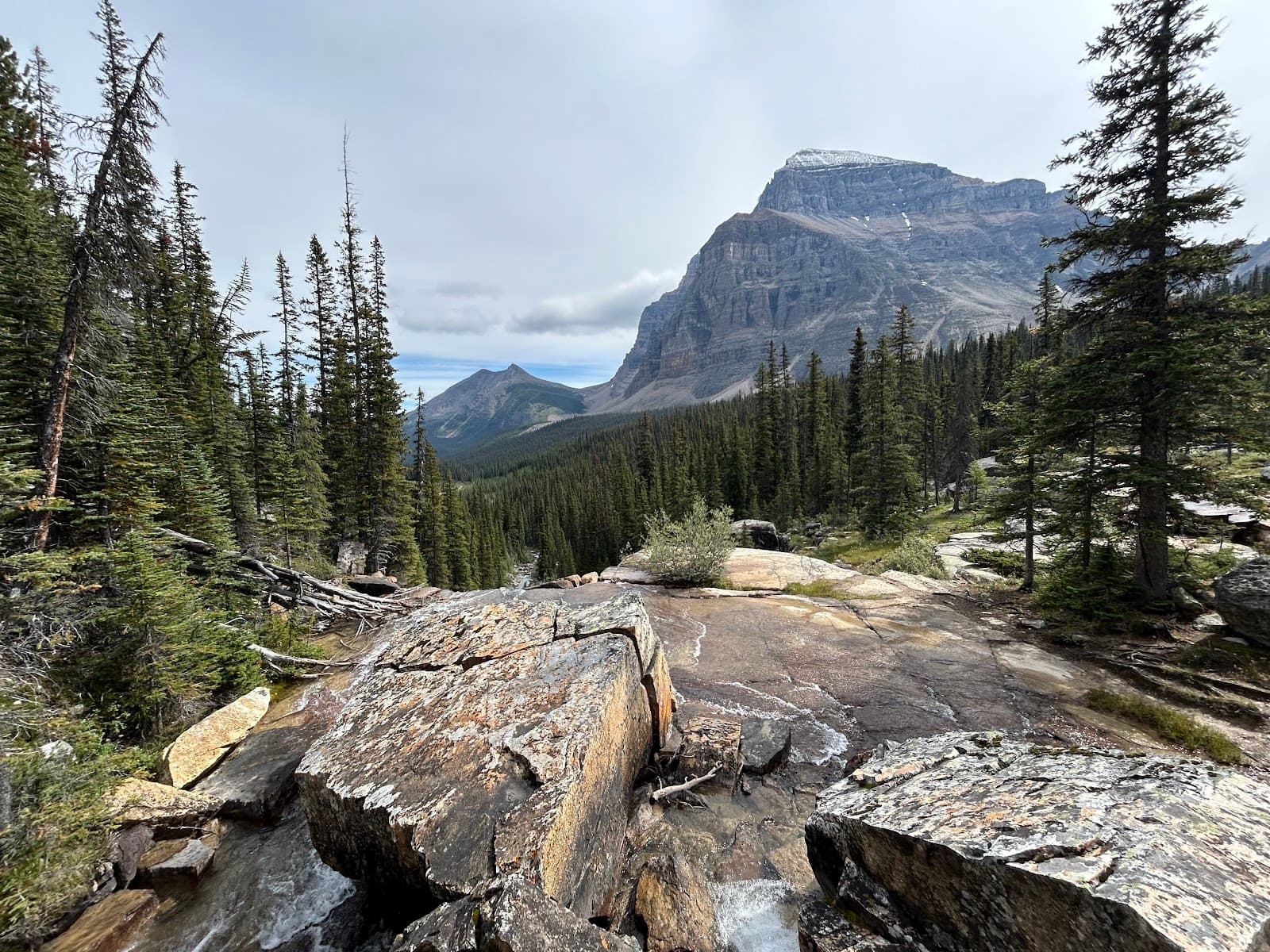 Giant Steps - Image 1