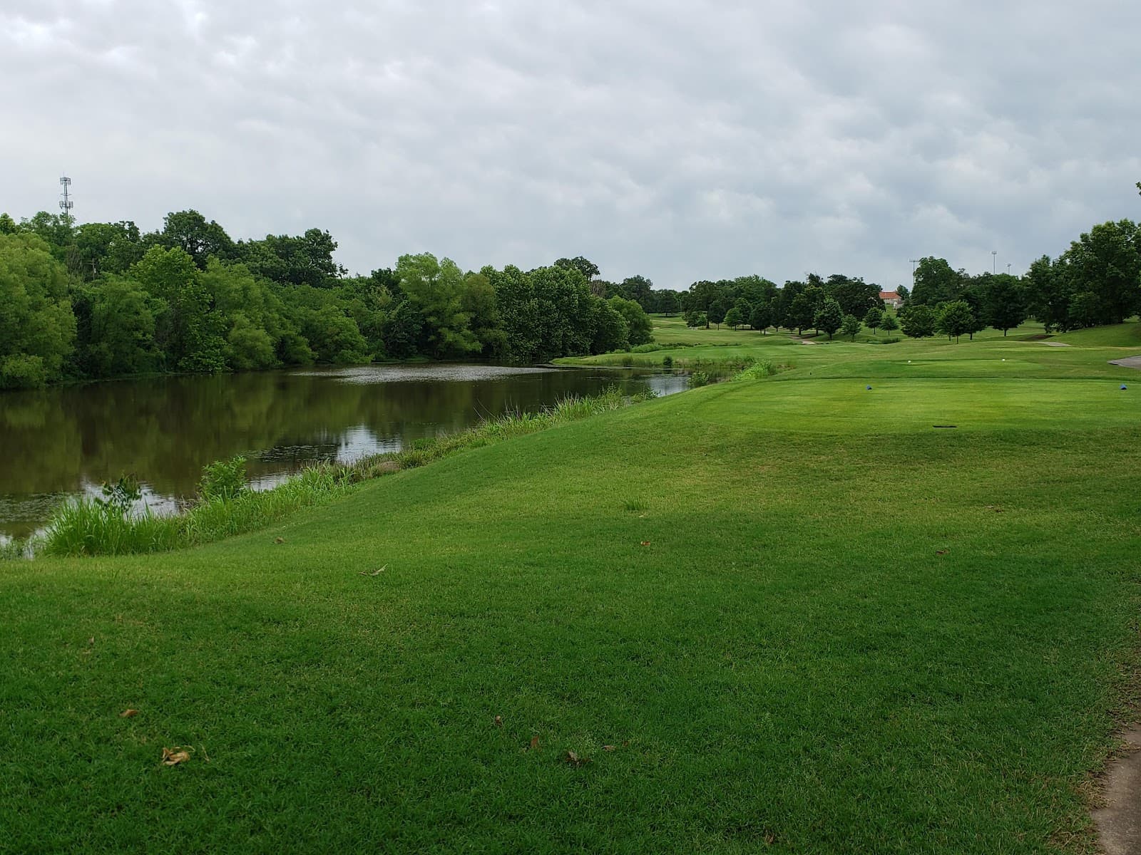 Carthage Municipal Park - Image 1