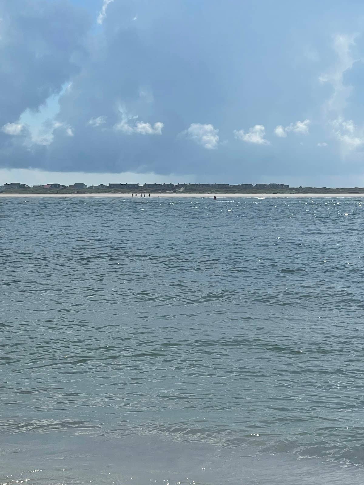 Bird Sanctuary Haven