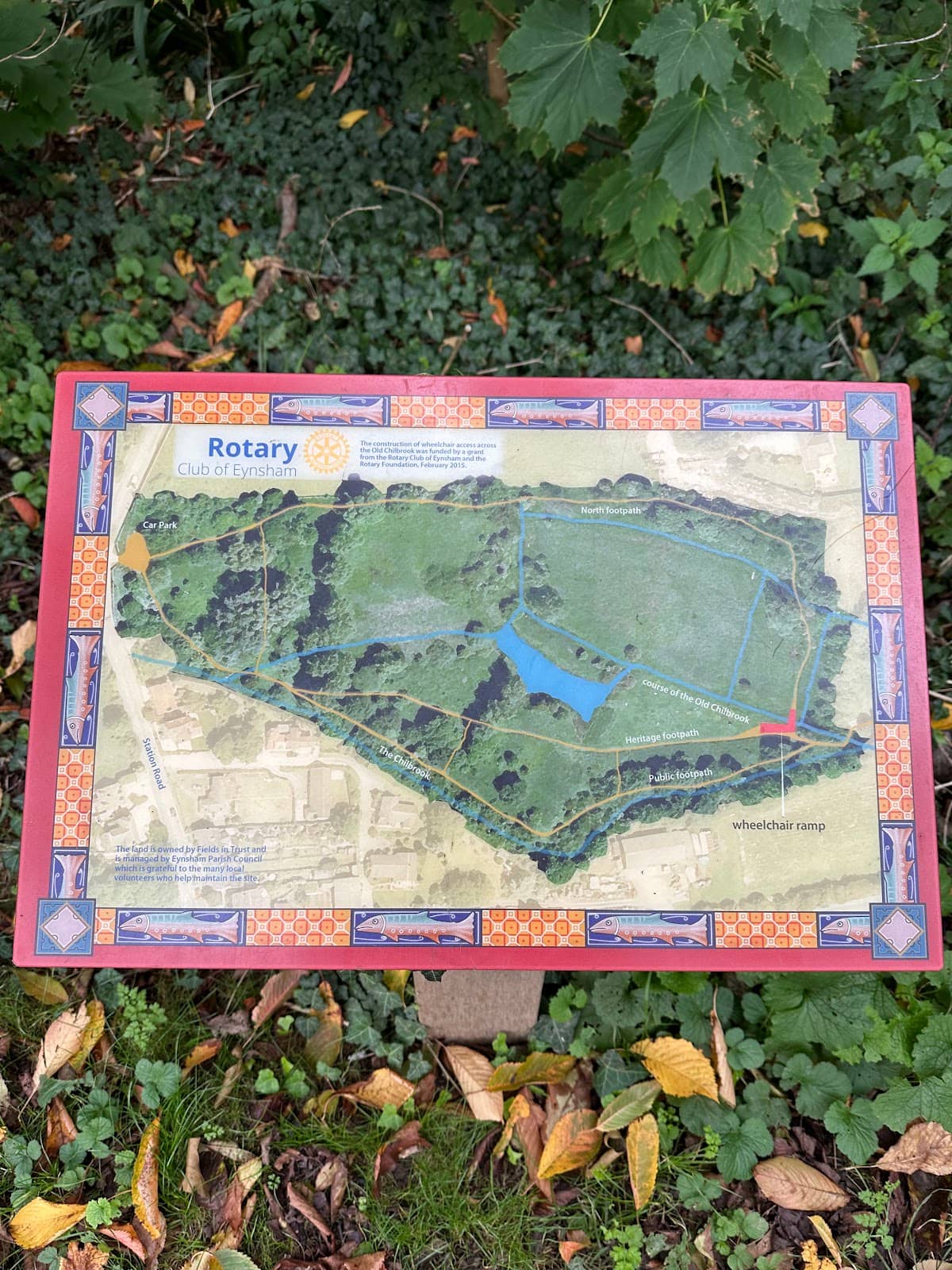 Wooded Walking Trails