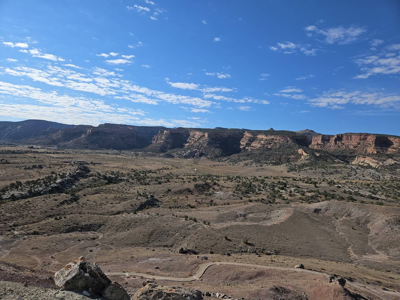 Interactive Dinosaur Toys