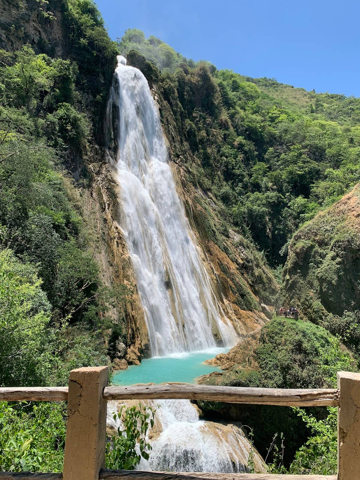 Turquoise Natural Pools