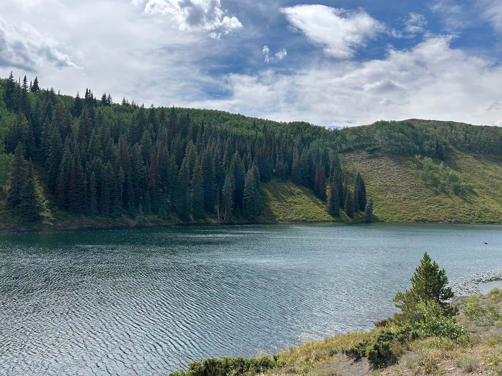 Long Lake (Meridian Lake) - Image 1