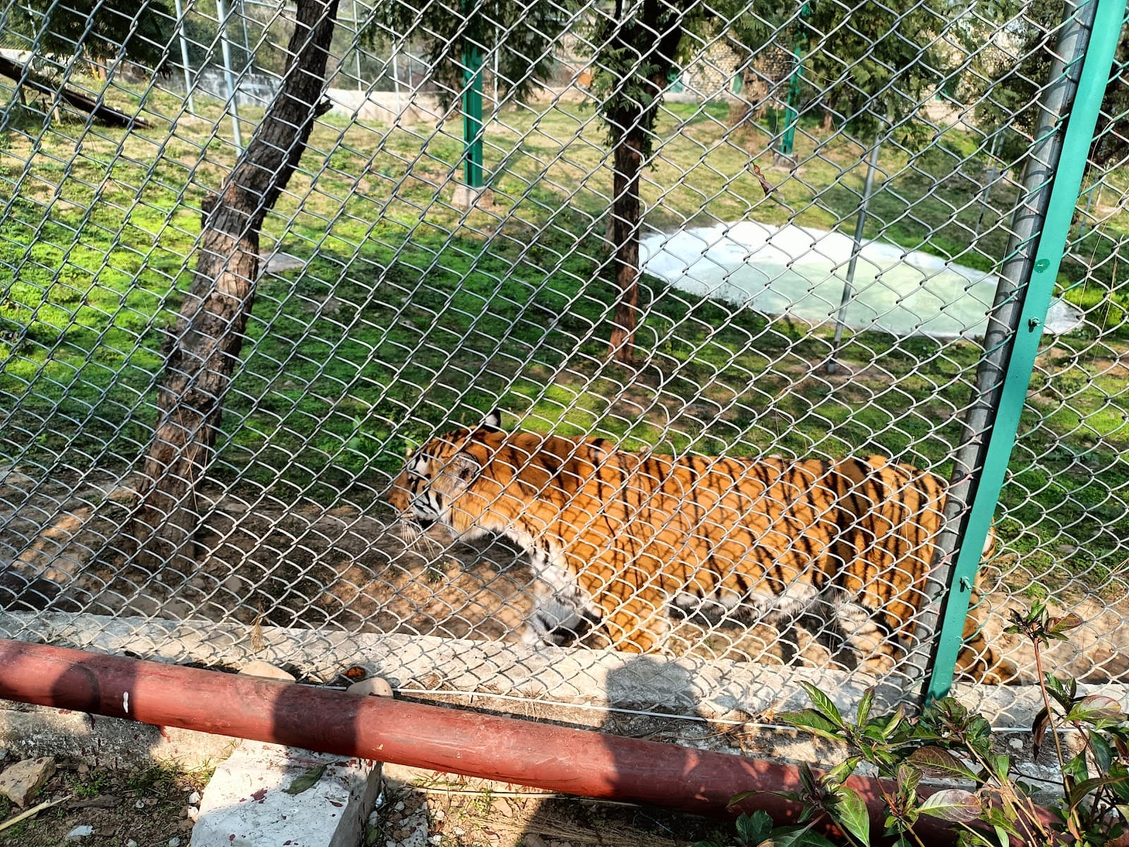 Jambu Zoo Nagrota - Image 1