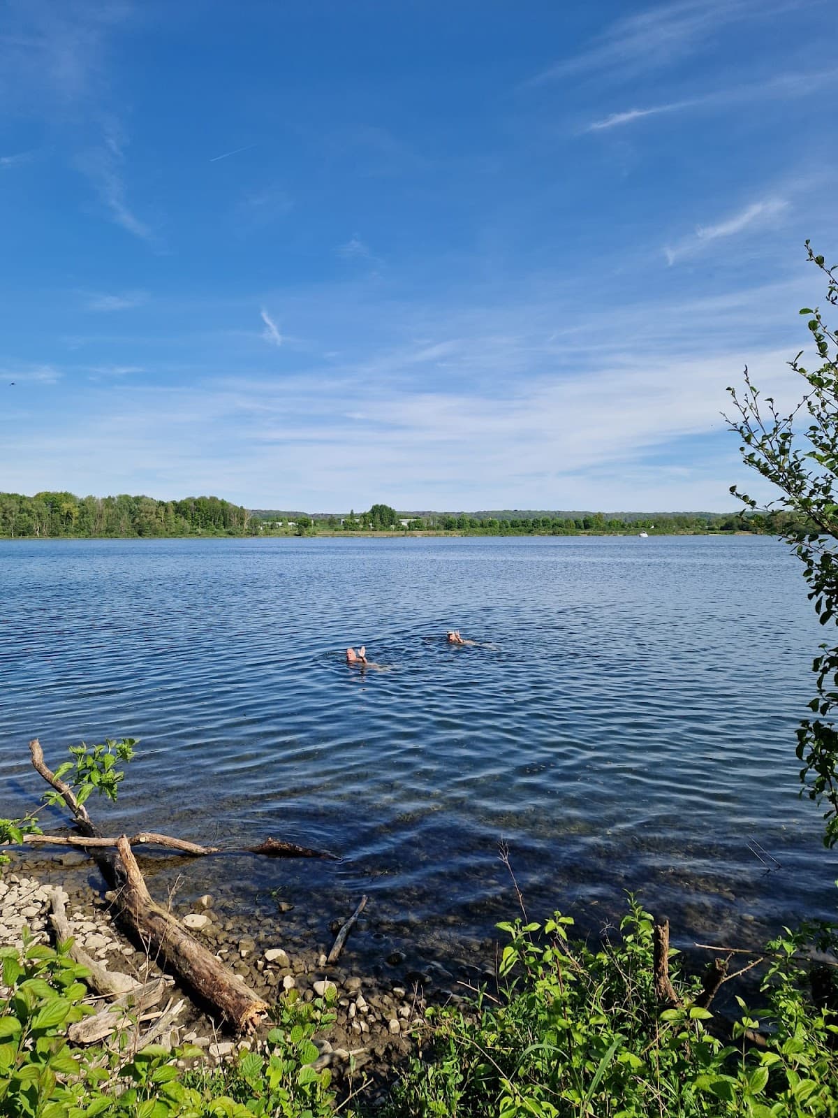 Pietersplas Lake - Image 1