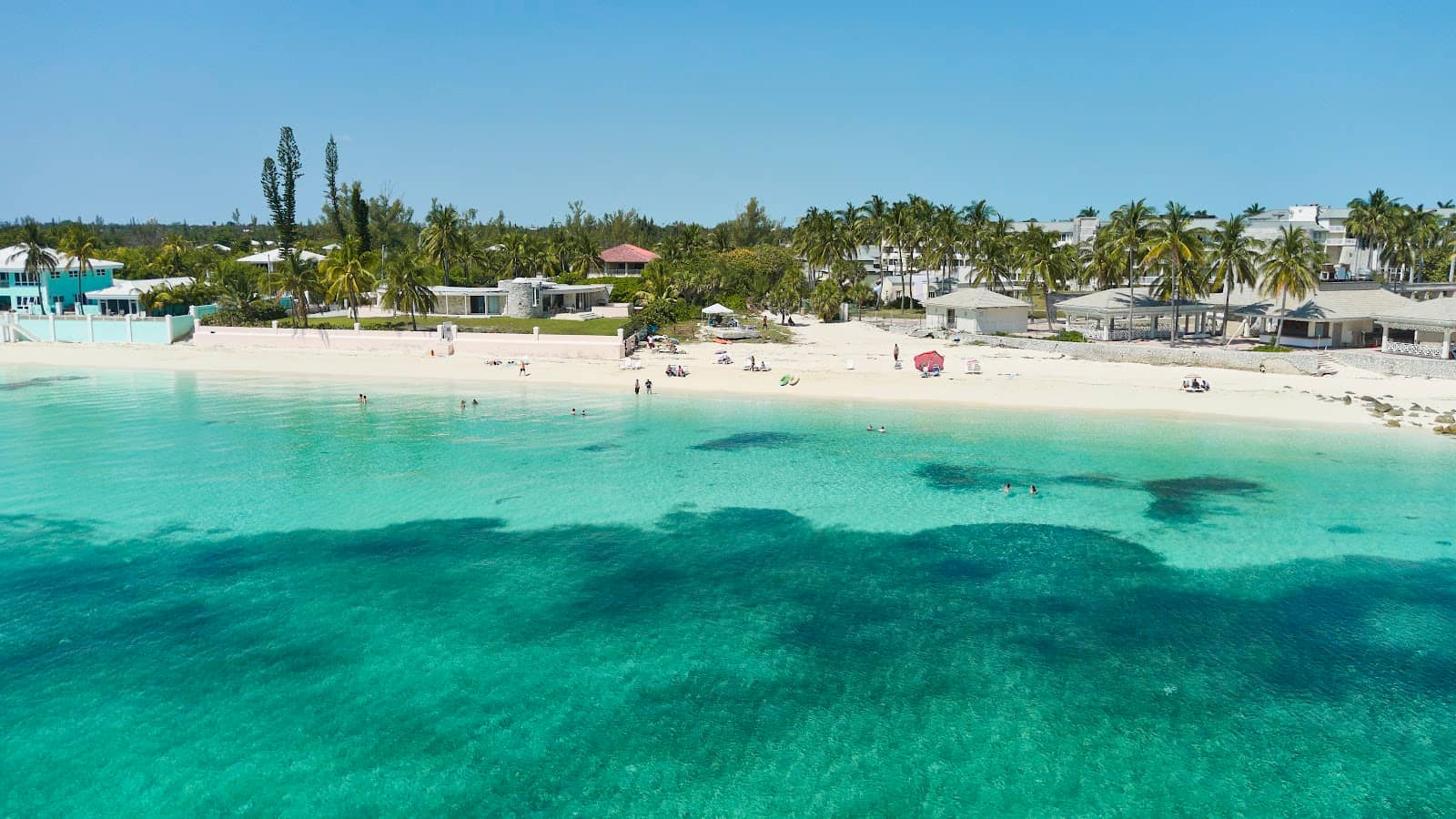 Big Daddy Brown's Conch Salad