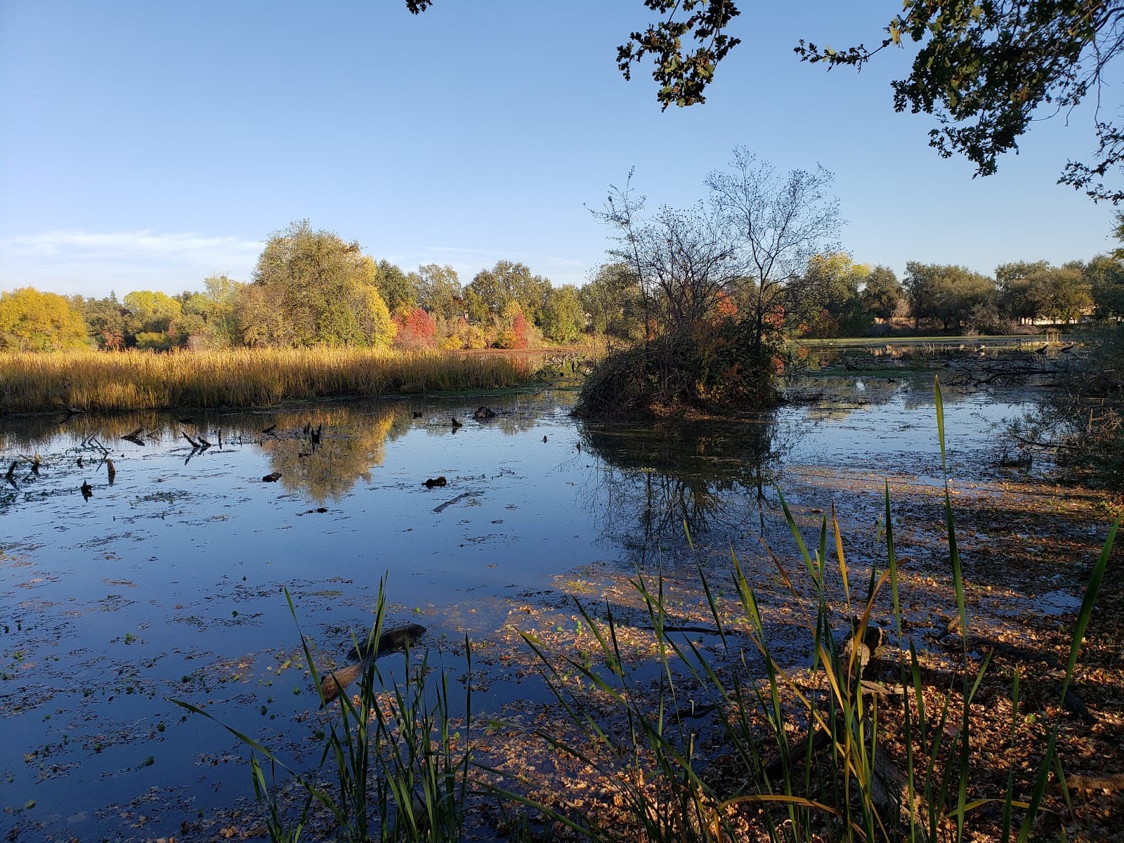 Teichert Ponds - Image 1