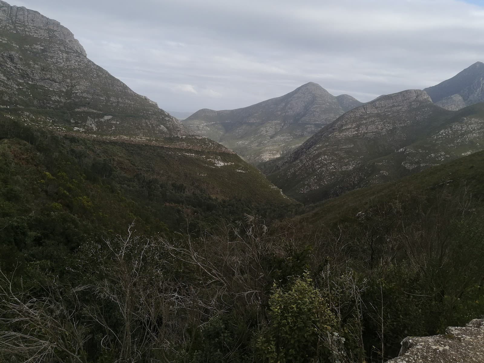 Outeniqua Nature Reserve - Image 1