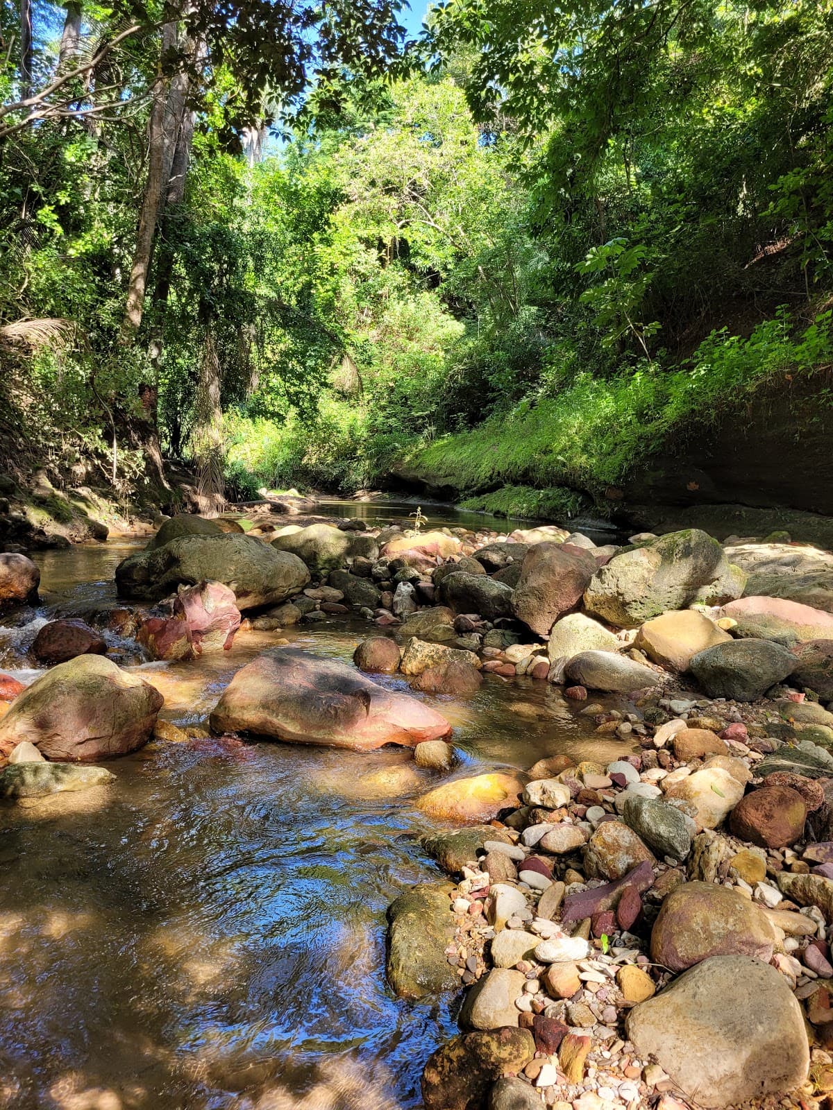Parque Estadual Sítio Fundão (Crato) - Image 1