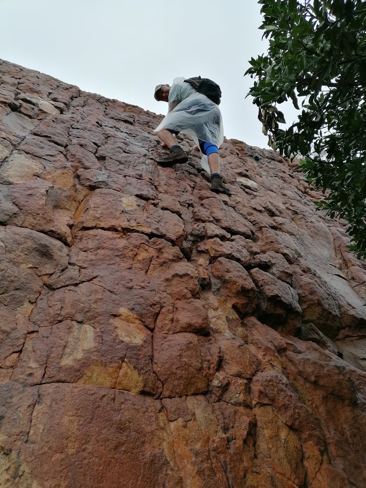 Shelter Rock Trail - Image 1