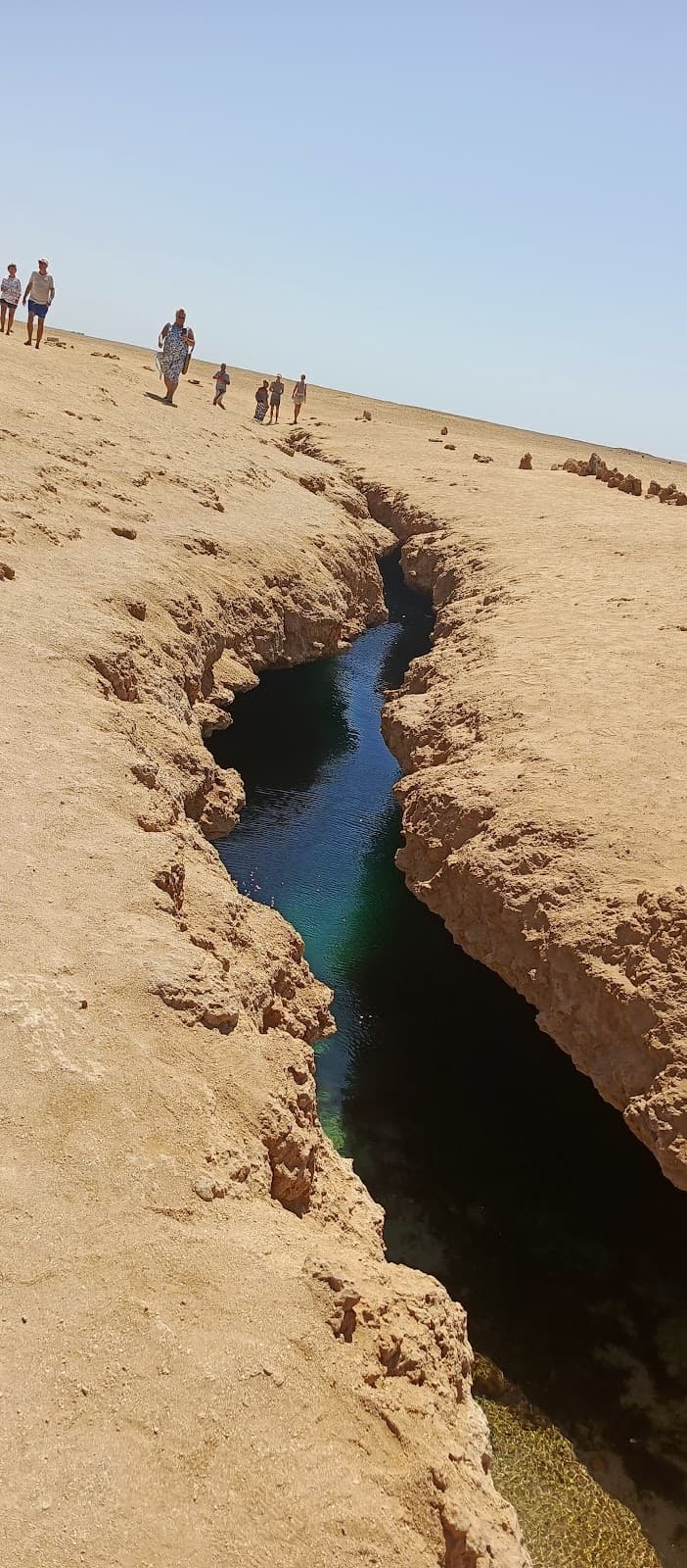 Ras Abu Galum Protected Area - Image 1