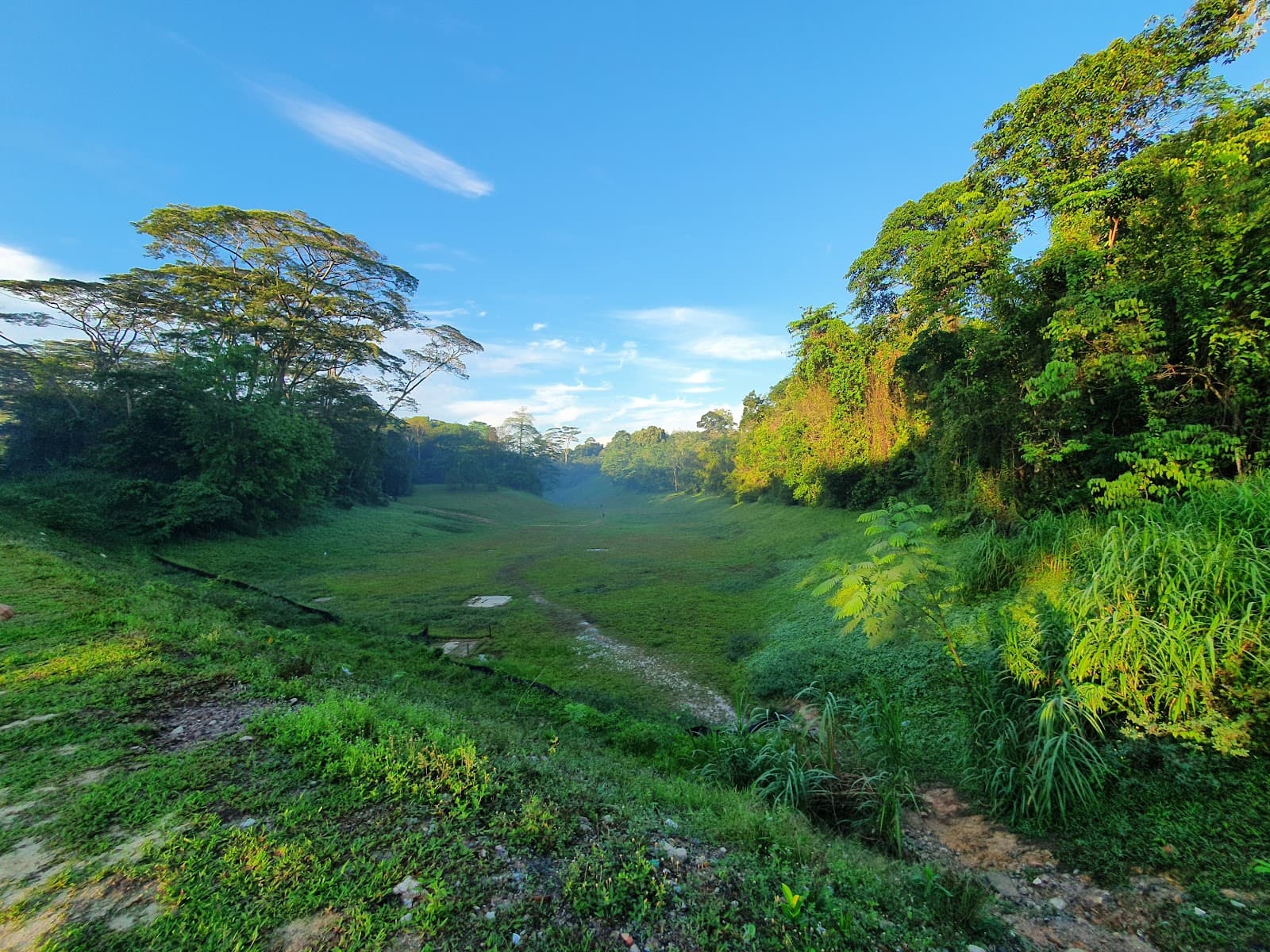 The Rail Corridor - Image 1