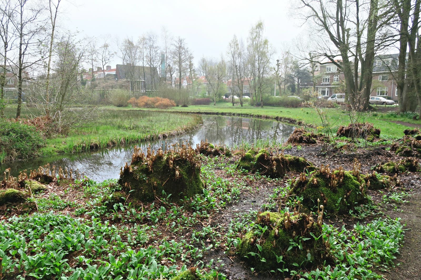 Dr. Koos Landwehrpark - Image 1