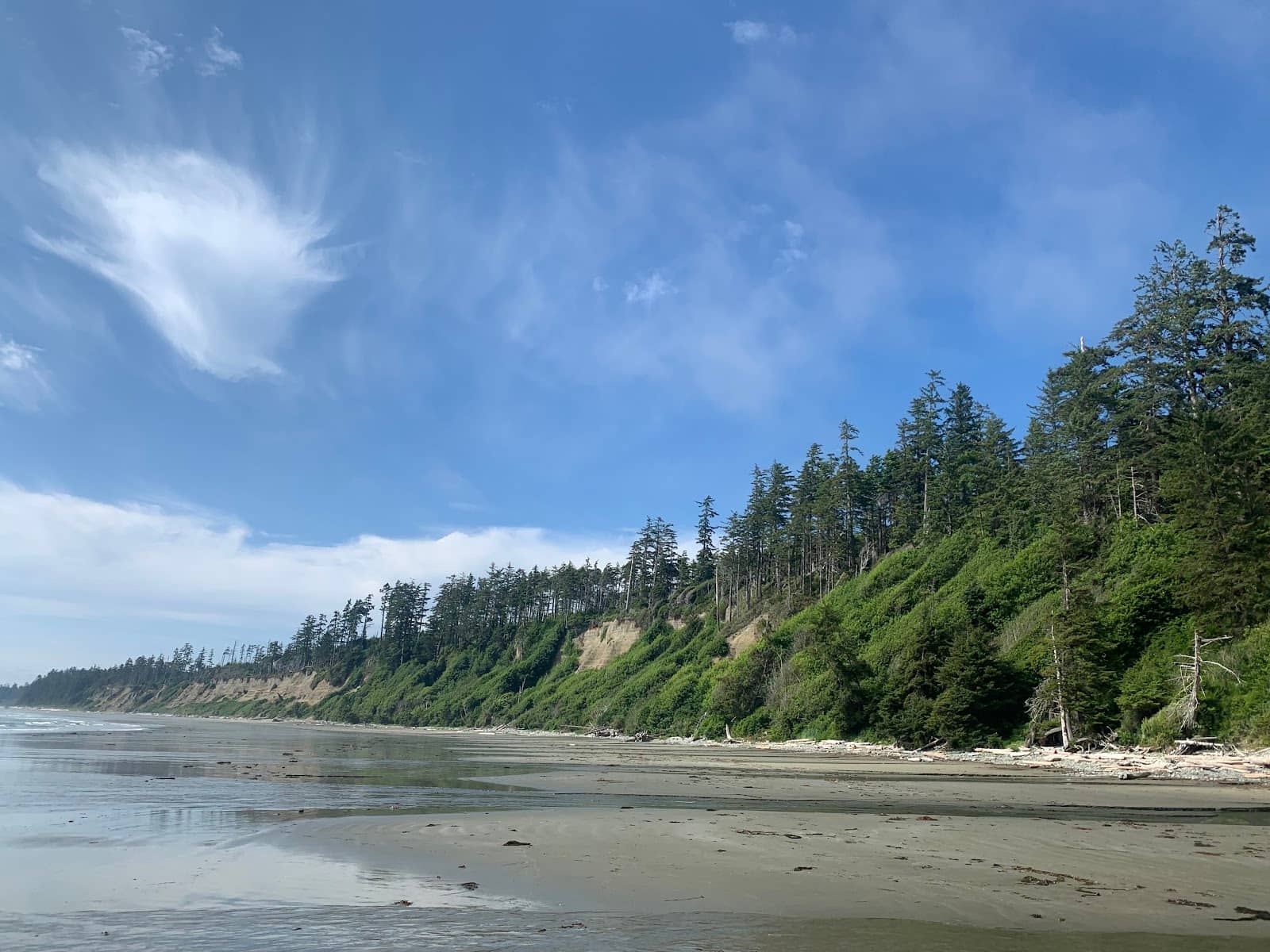 Coastal Rainforest Walk