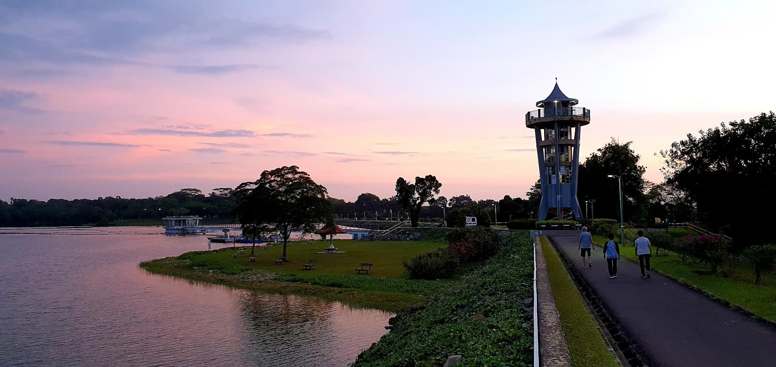 Central Catchment Nature Reserve - Image 1