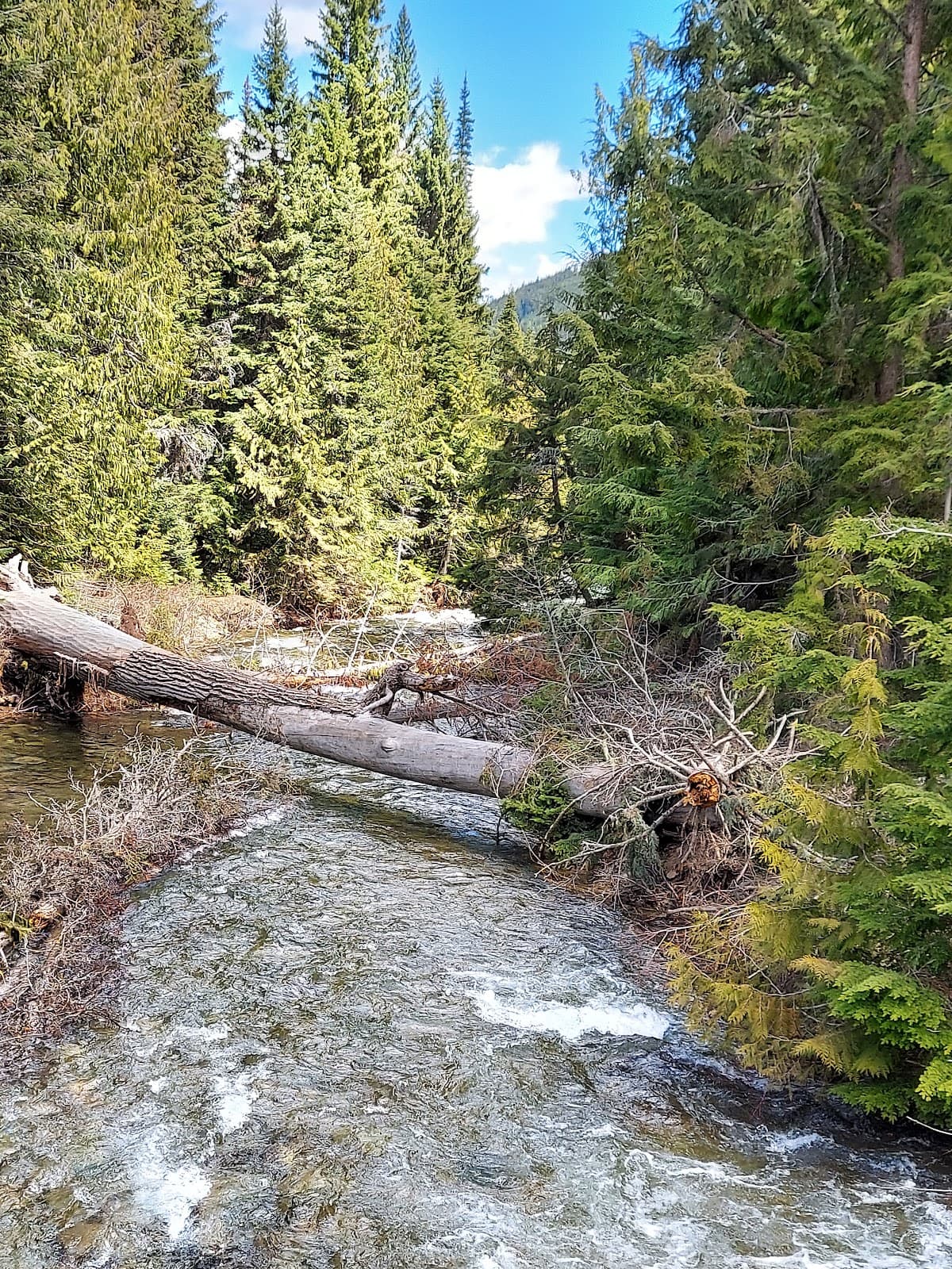 Libby Creek Recreational Gold Panning Area - Image 1