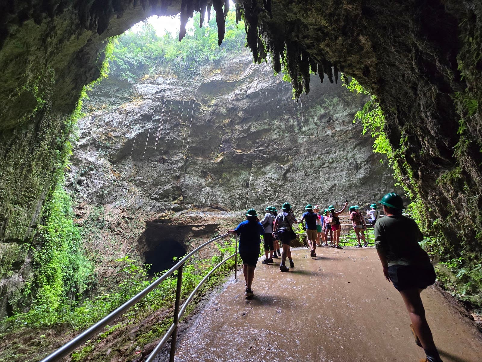 Río Camuy Cave Park - Image 1