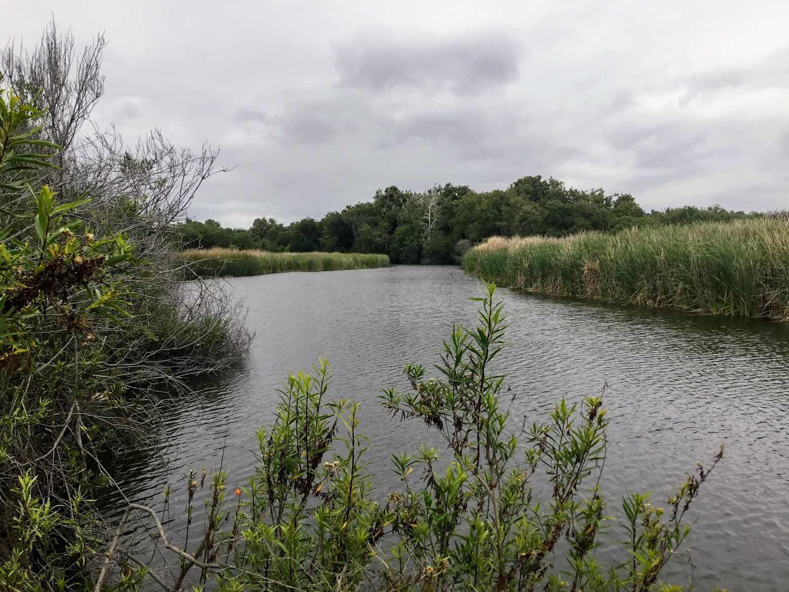 San Mateo Creek Estuary - Image 1