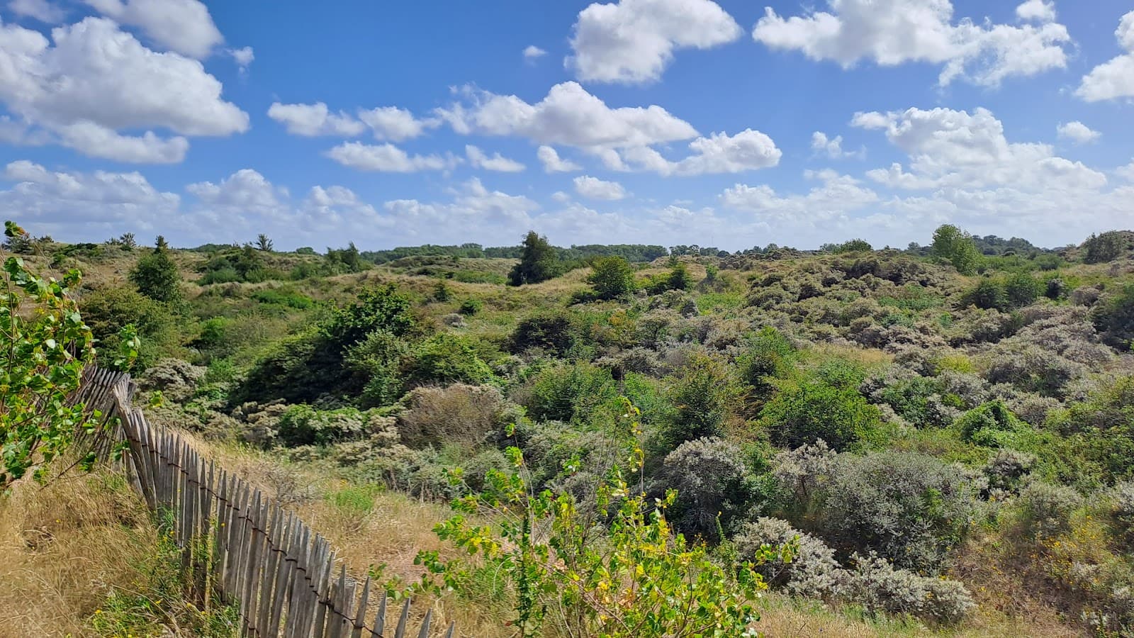 Calmeynbos - Image 1